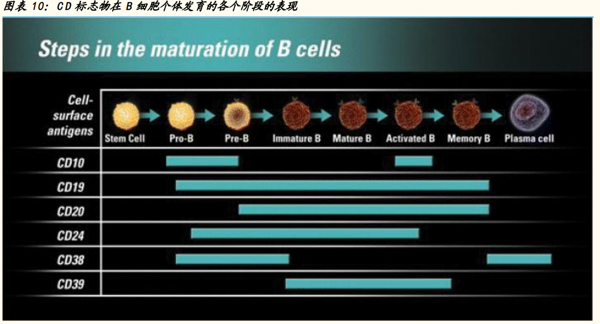神州细胞专题研究：十数年磨一剑，中国首个重组八因子重磅上市