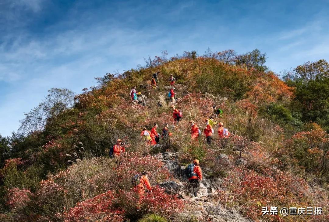 正见第101期丨寻找冬日重庆的暖