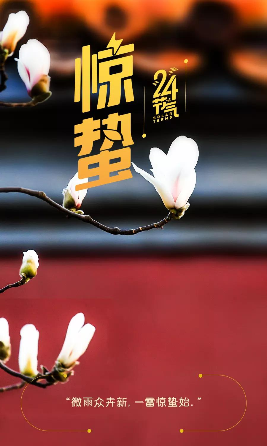 ⷨԷվ