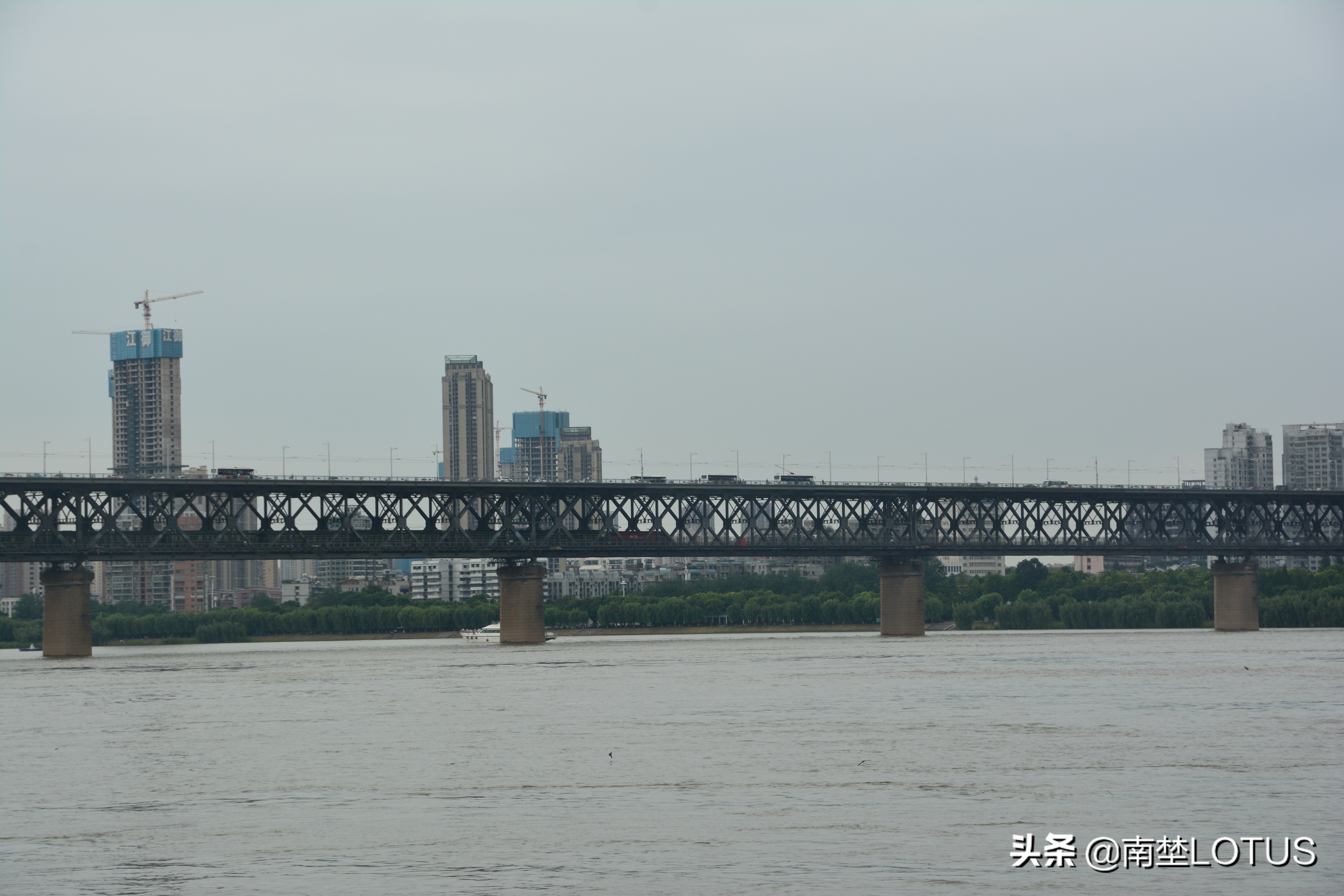 暴风雨也浇灭不了我们的热情(暴风雨浇灭不了江城716横渡长江游泳健将们的训练热情)