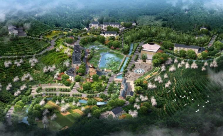 乡村旅居+田园康养，在国内大循环、需求侧改革时代，将成为焦点