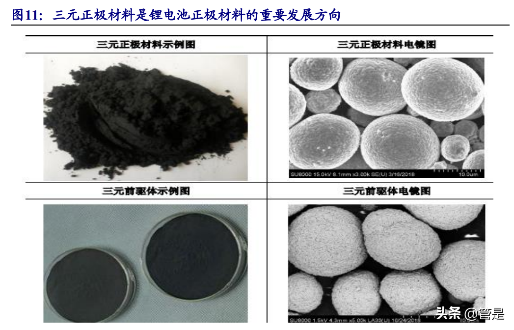 长远锂科专题报告：高端三元正极龙头，与产业链巨头共成长