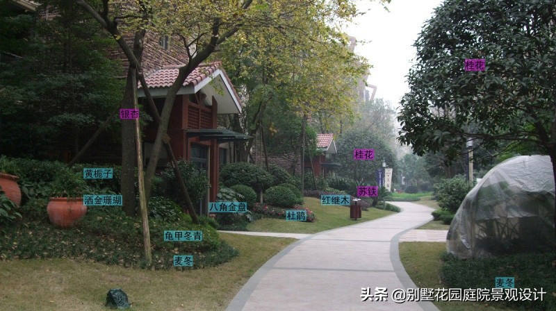 別墅庭院常用植物分享，附照片及名字標(biāo)注（珍藏版）
