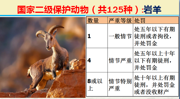 国家最新125类二级野生保护名录，图片及违法对应刑责