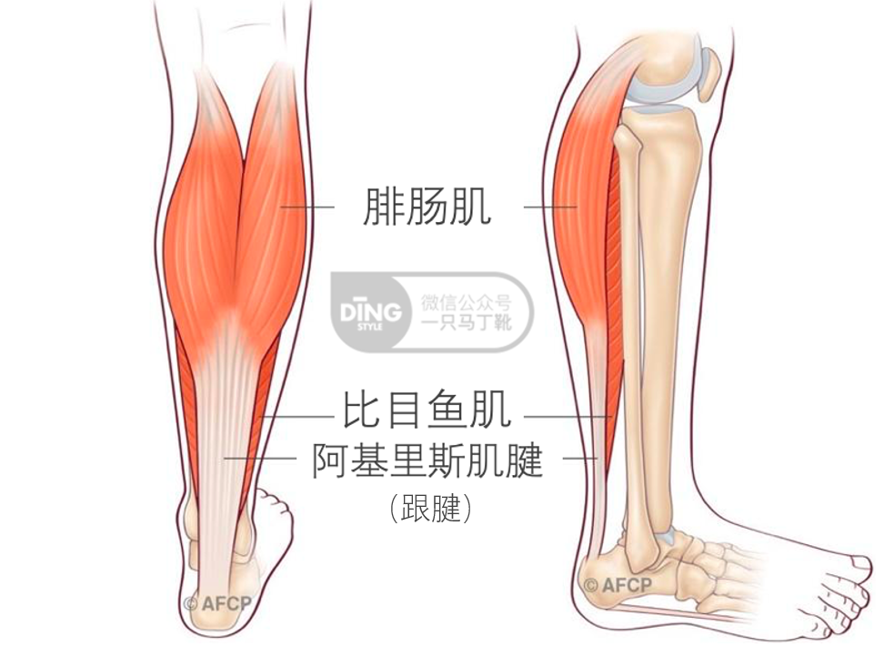 靴子到底怎么挑？同时考虑风格、身材、搭配的秋冬靴子干货来了