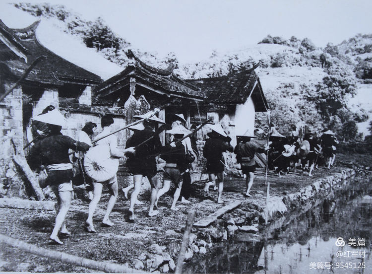 解放初期福建地区剿匪记