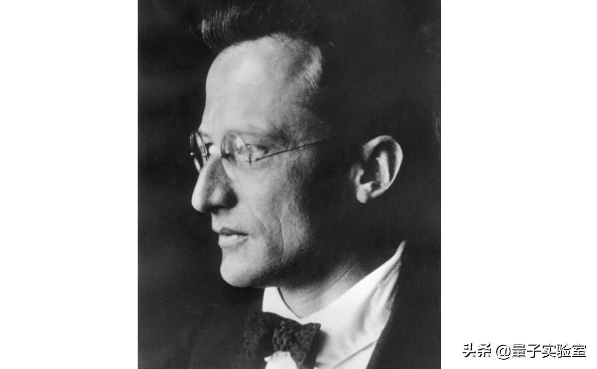 從能量到熵，生物體是如何維持高度有序的？