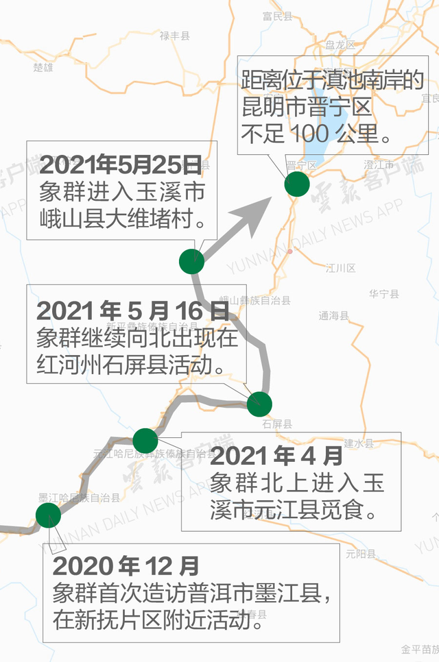 一路向北的亞洲象，遷徙中的迷路者，卻反映了我國自然保護(hù)的現(xiàn)狀