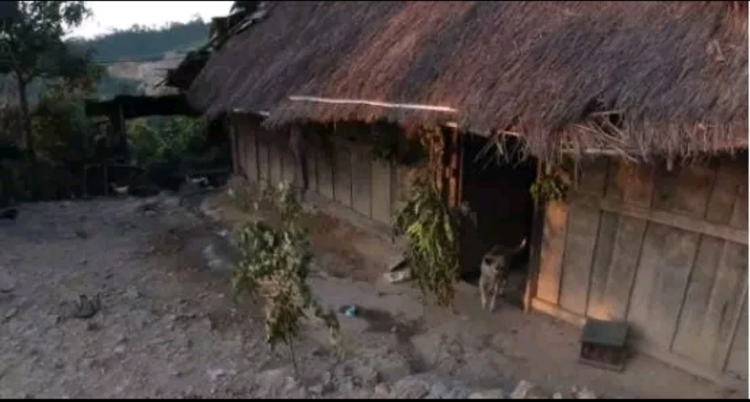 为啥挂树枝的老挝人家不能进？当地人：进去了