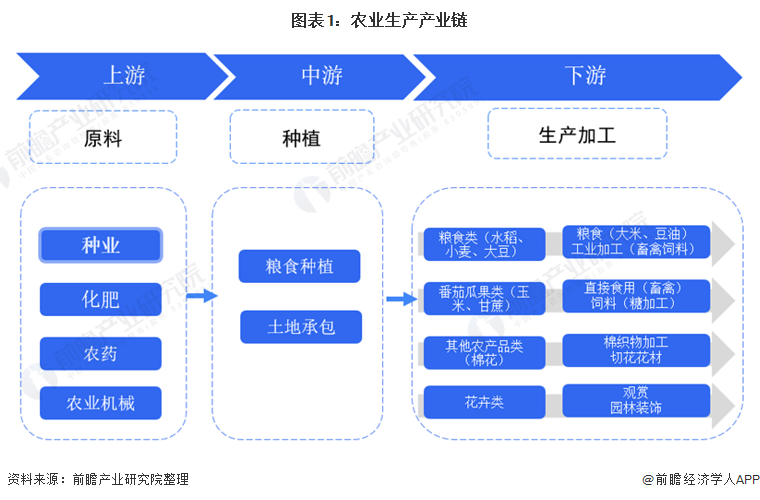 中、美粮食战争：14亿人饭碗被"卡脖子"，国产种子如何扭转乾坤？