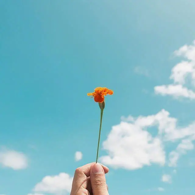 对生活充满美好的句子 未来可期的正能量句子图片