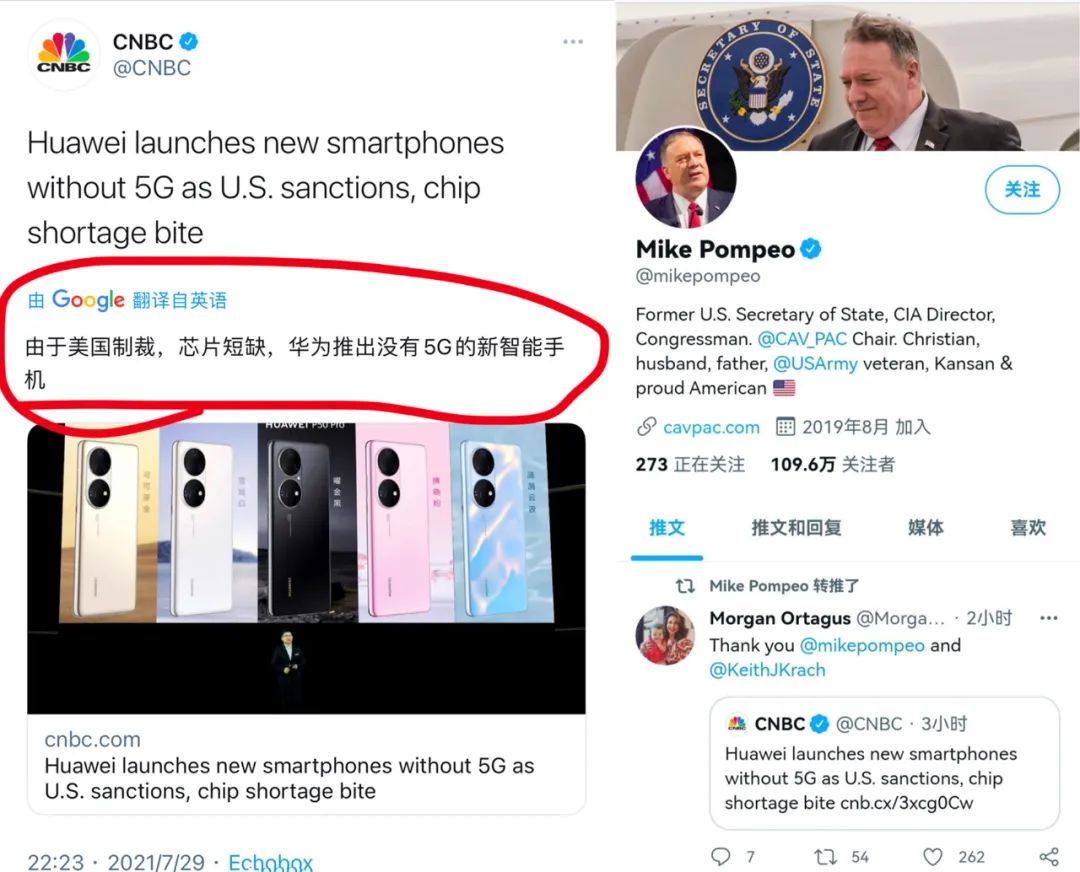 ��8000���4G�ֻ���˭����ΪP50��������