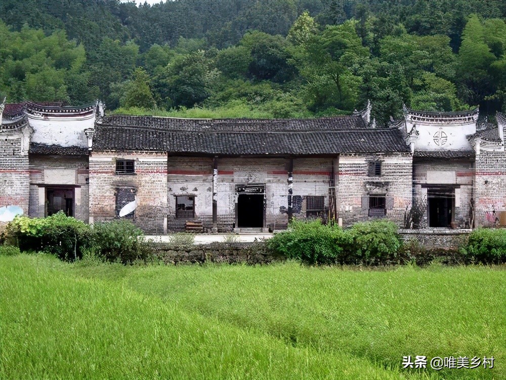 城镇化导致农村“空心化”！乡村振兴，五股返乡力量会回流？