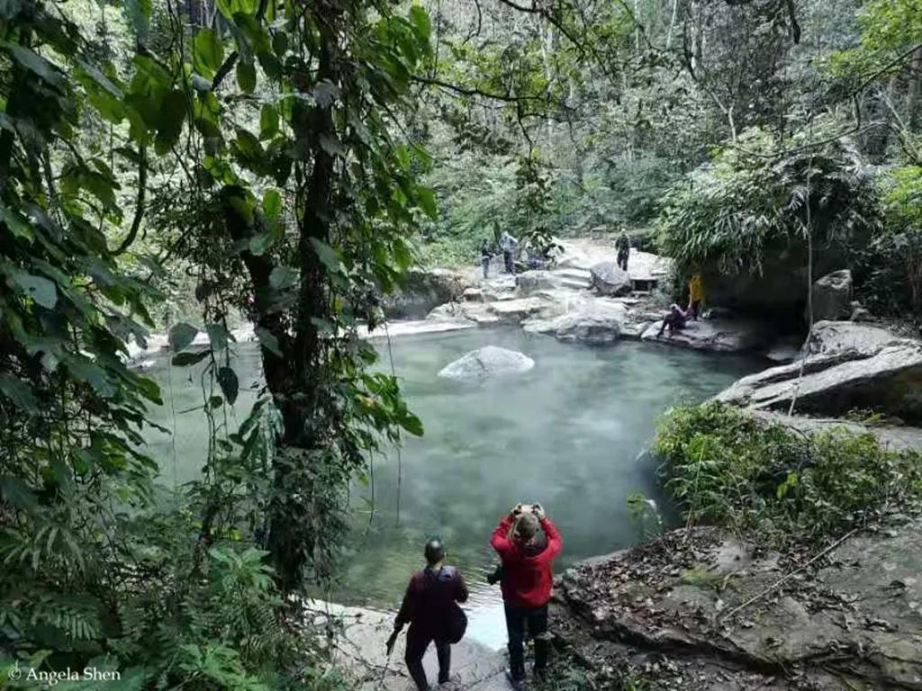 Angela的腾冲直播2—咖啡庄园、百花岭、北海湿地、银杏村