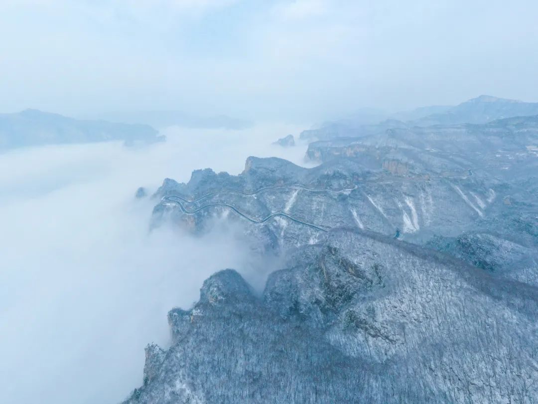 美到爆！云台山迎春日“桃花雪”！雪山云海宛若仙境