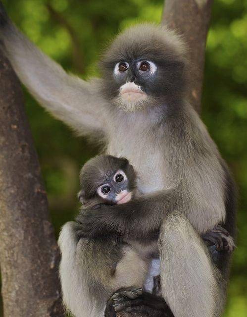 從這些照片裏，感受到了生命的溫度