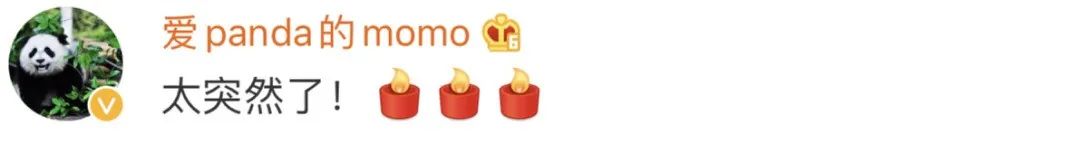 主打置顶|北京动物园“大地叔叔”去世近一个月后，死因公布！网友深情追忆