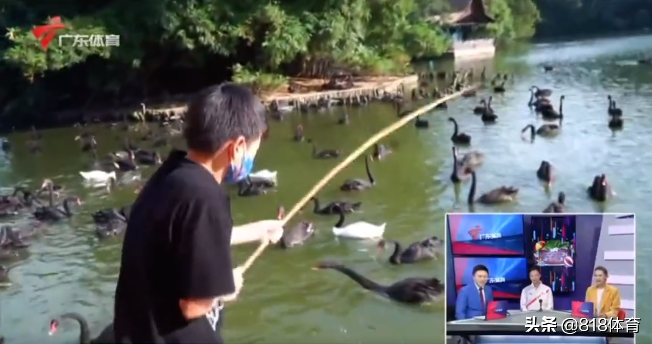 海王!全红婵长隆动物园一口气钓9条鱼,打破园区纪录嘚瑟:我厉害吗