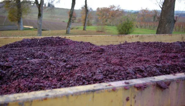 史上最全酿酒全过程详解，建议收藏（多图）