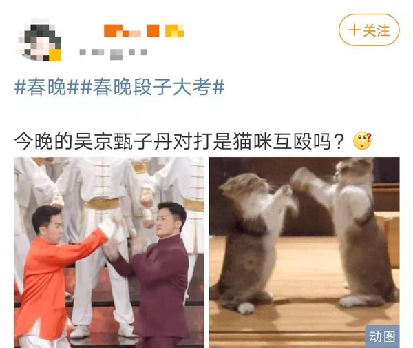甄子丹吴京春晚舞台大打出手，不料画风突变，网友：猫咪互殴