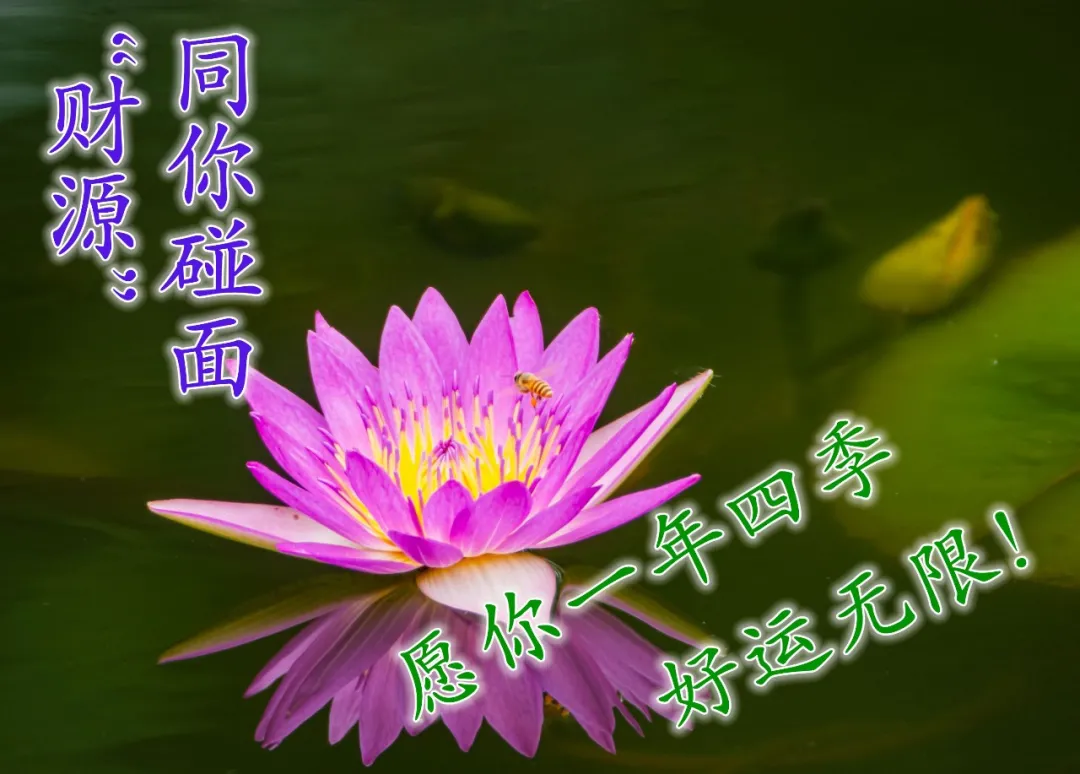早上好文案配图片,早上好朋友圈正能量句子简短图片