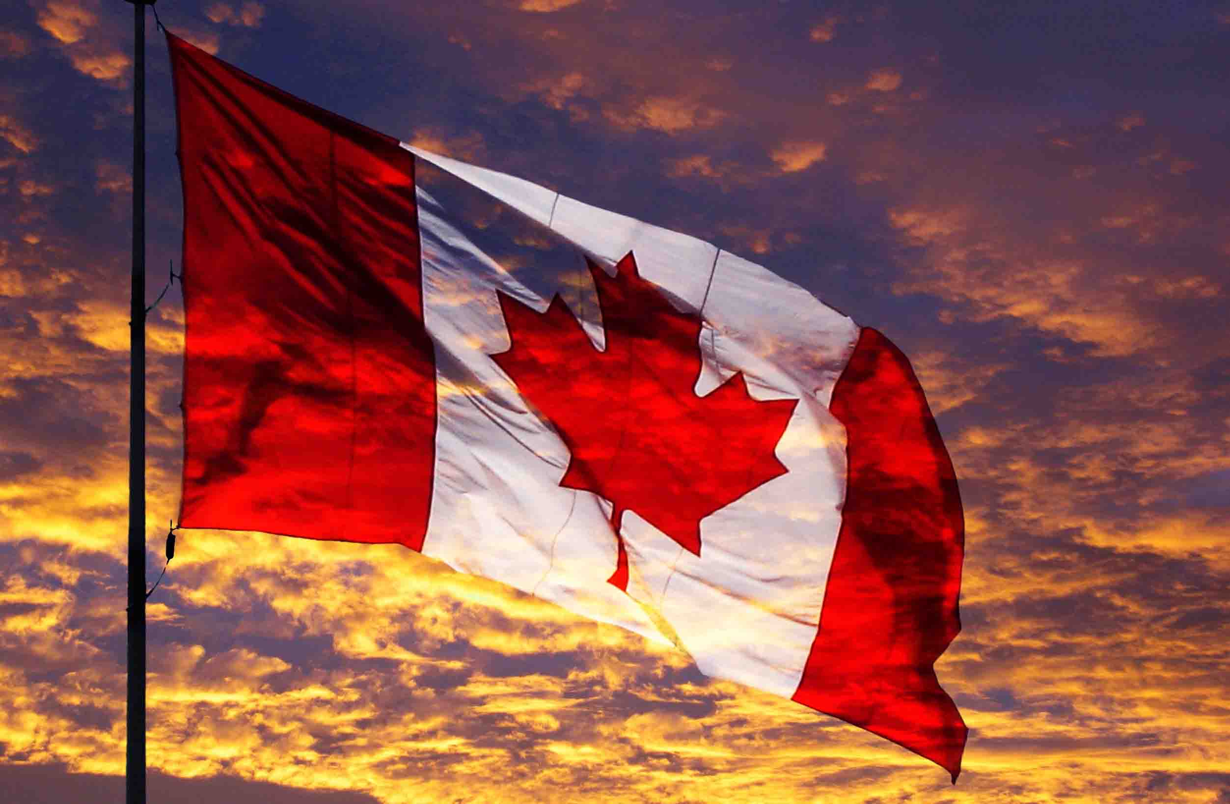 中澳關係緊張，�反華聯盟�趁機進行小動作，不料卻鬧出烏龍