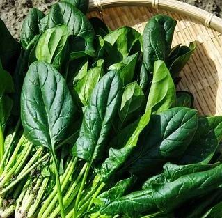 3招對抗冬季上火，口臭、便秘、口腔潰瘍都不見了