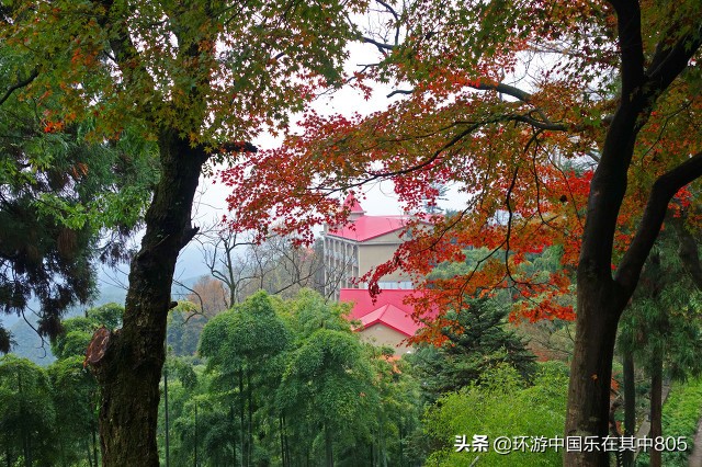 莫干山是不是避暑圣地？