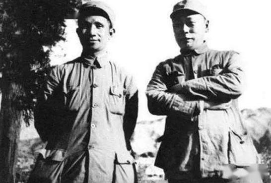 毛主席向全军推广华野战法，林总看后也佩服：粟裕尽打神仙仗