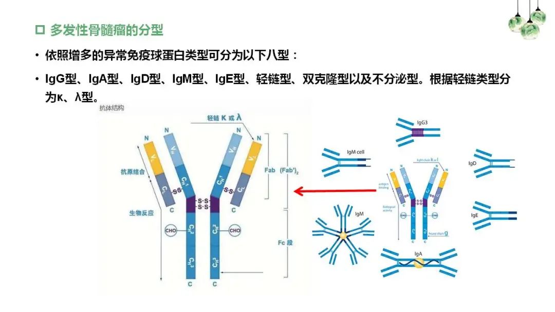 “中老年人腰背痛需警惕多发性骨髓瘤”健康大课堂