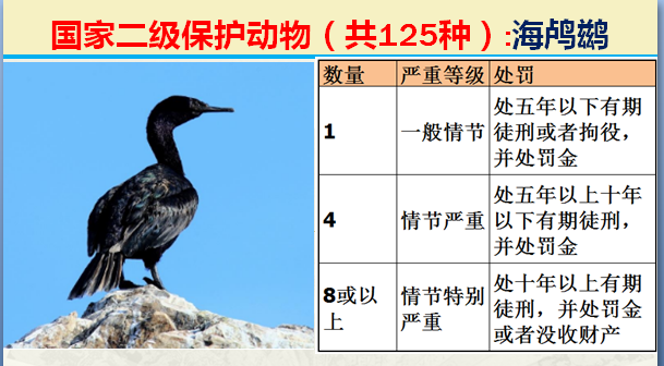 国家最新125类二级野生保护名录，图片及违法对应刑责