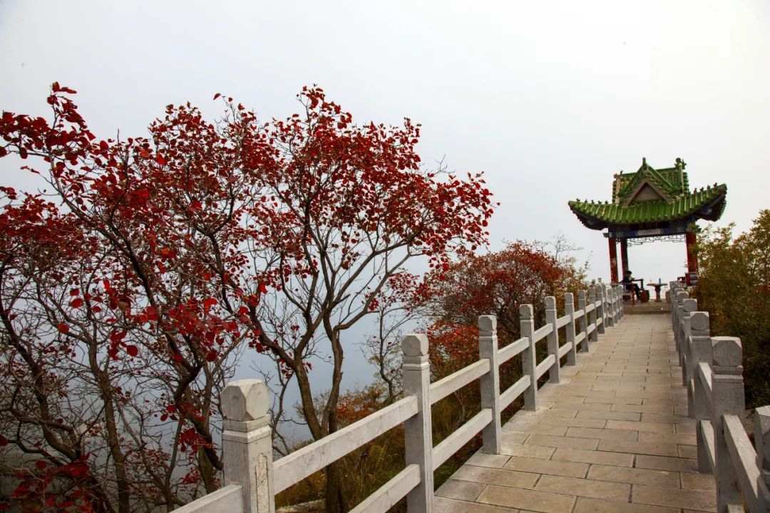 关于青龙峡峰林峡国庆节、中秋节假期游客接待相关措施的公告