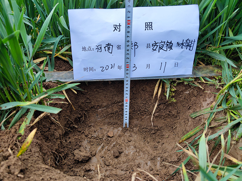 土壤调理剂松土促根剂作用于土壤，重点表现于耕层环境及作物根系