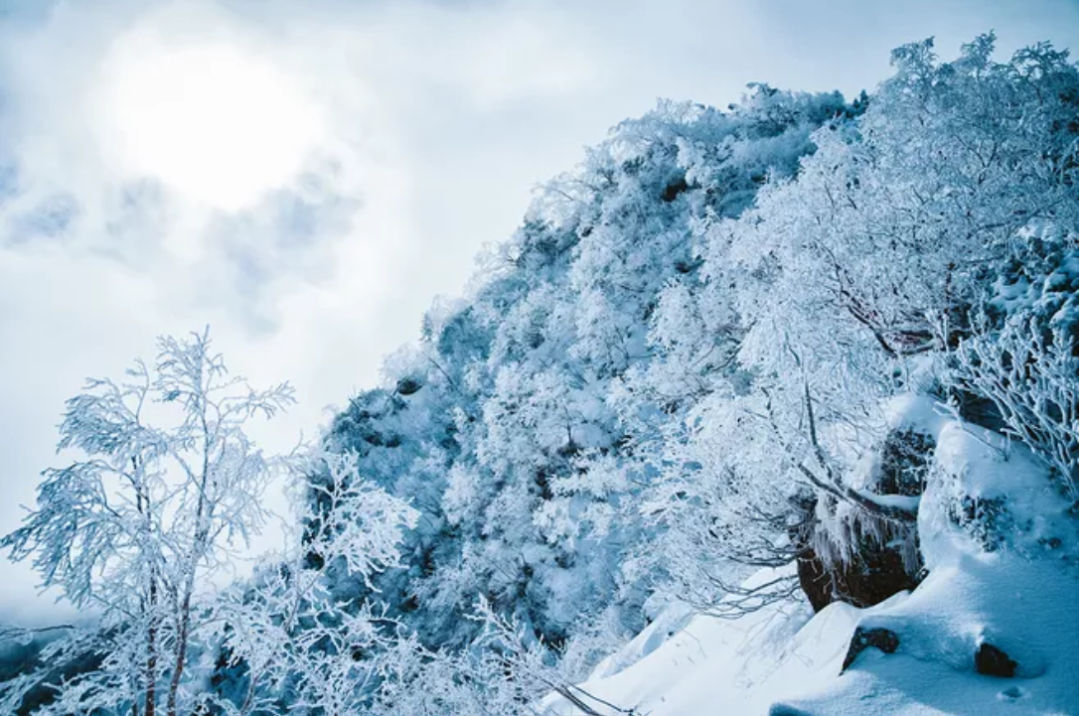 十首写雪后景色的诗词，看雪后银装素裹的童话世界-第18张图片-诗句网