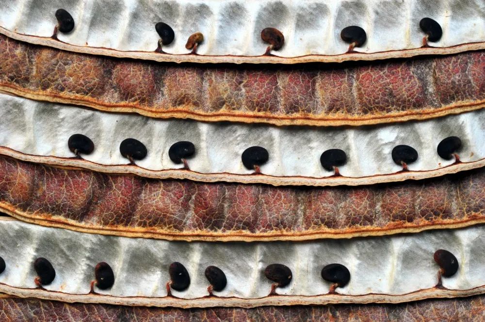 分不清是現實還是虛幻：45張攝影作品，捕捉大自然的神秘