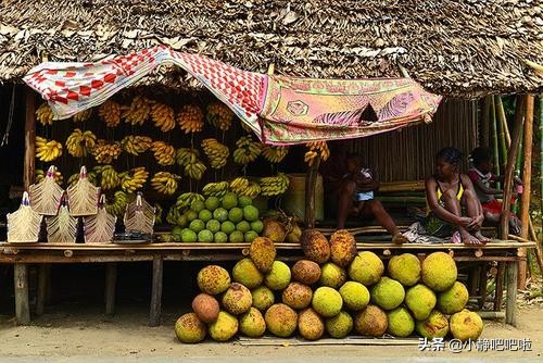 你不知道的20条国家冷知识——“奇妙的”马达加斯加