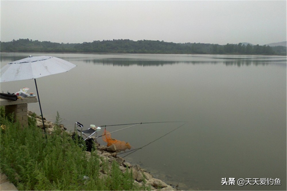 秋分前后钓鲤鱼，首选这几种天气，选对天气，坐等大鲤鱼排队上钩