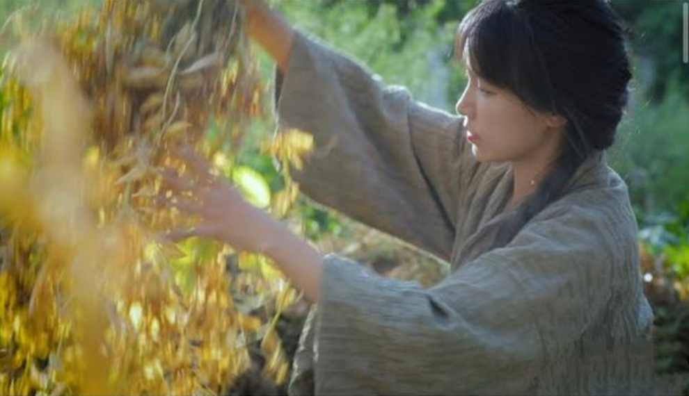 李子柒：14岁辍学，31岁身价过亿，初中文化的她，经历了啥？