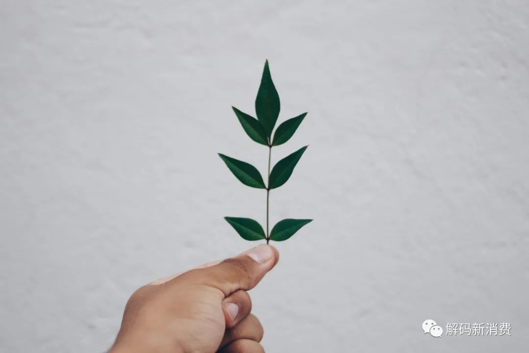 新消费品牌：从企业CGO视野看全网营销