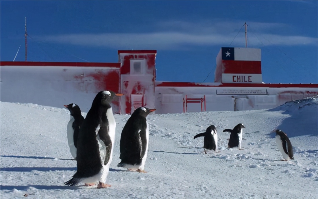 後果不堪設想！ 智利把新冠帶到了南極，當地環境能讓病毒存活很久