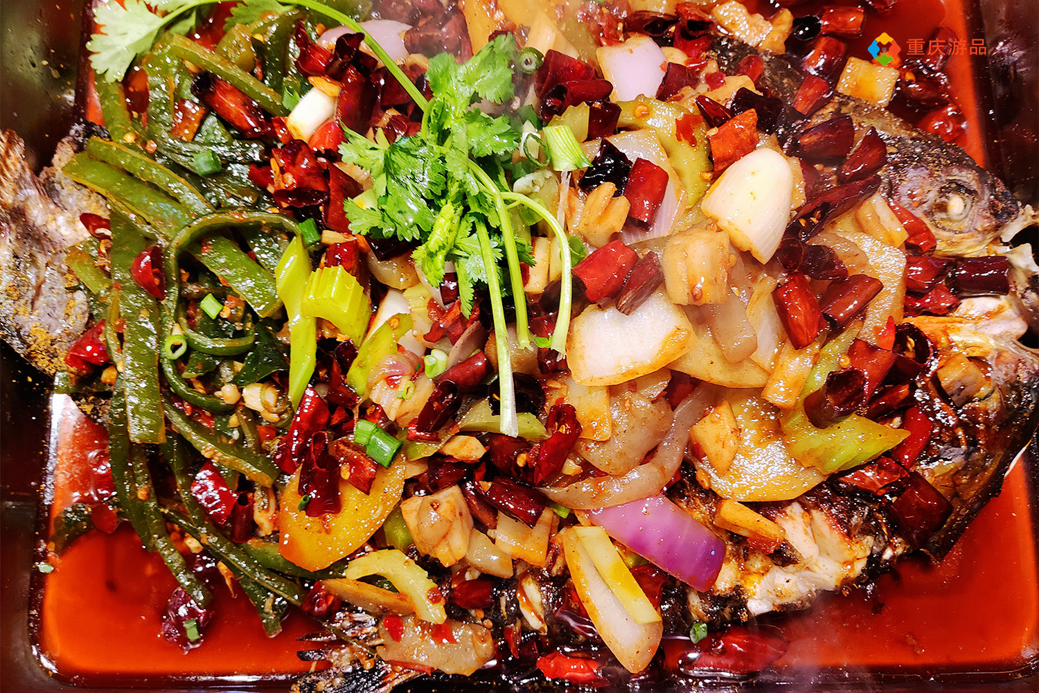 重庆特色产业生态渔业：年产值超200亿元，人均水平却很差