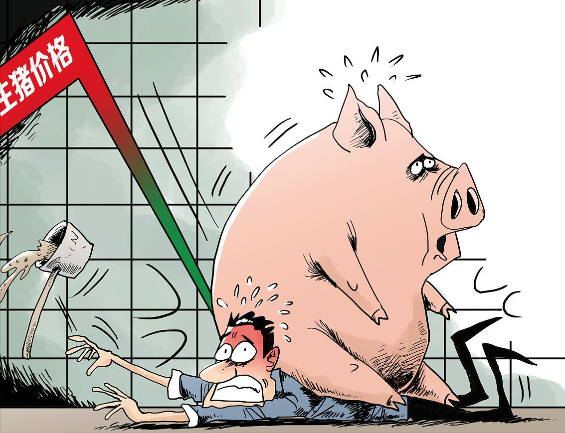 猪价“熊势”冲天，行情跳水连跌7日，业内：4月猪价或涨翻天