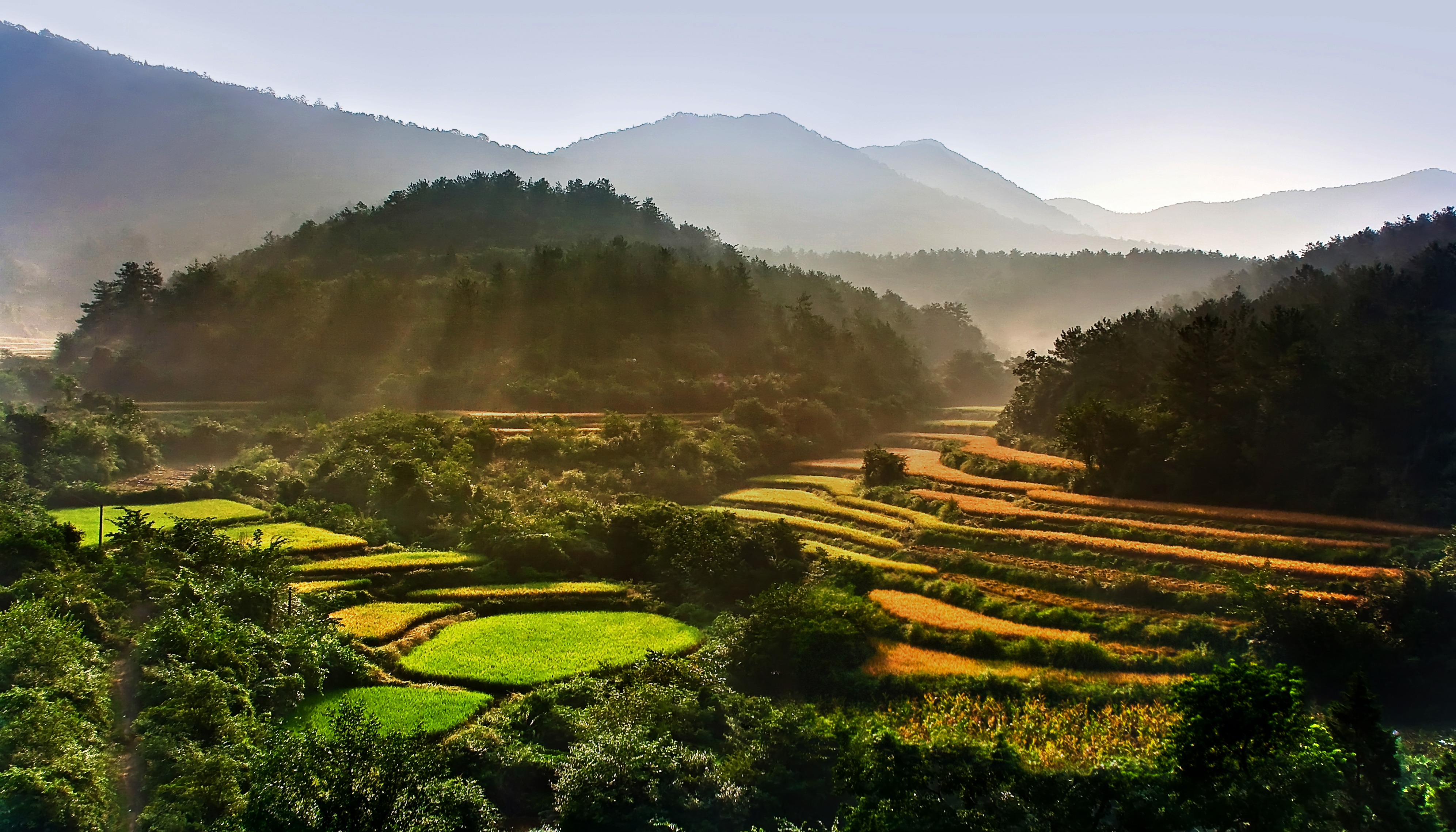 專家挖開朱元璋兒子墓，發(fā)現(xiàn)6具少女遺骸，揭開明朝一殘忍制度