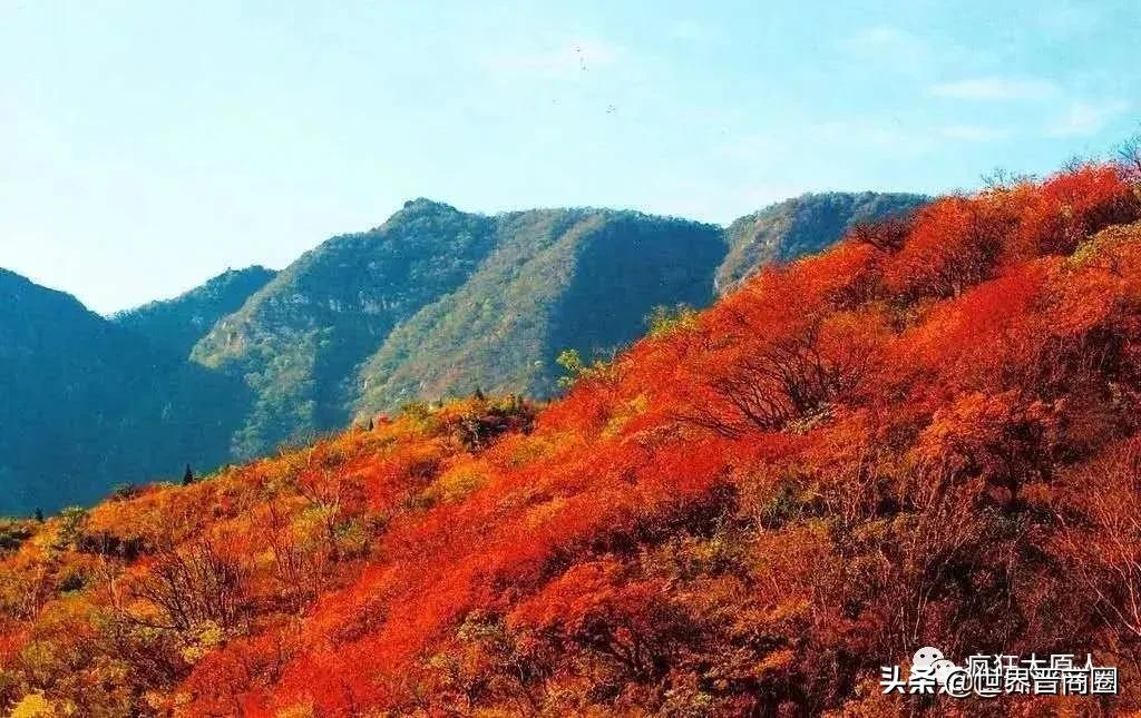 长风西利好!“中央公园”列今年城建计划!河西农贸市场或将拆除