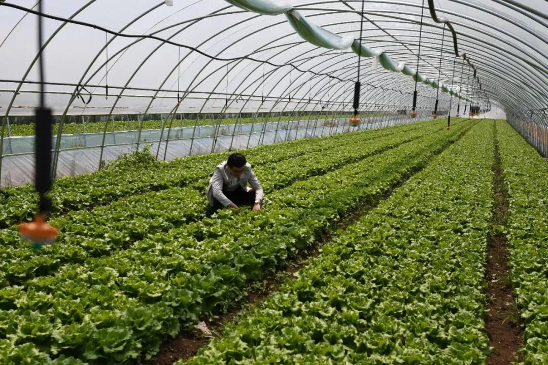 �׽����������Ļ����ν������ܹ���