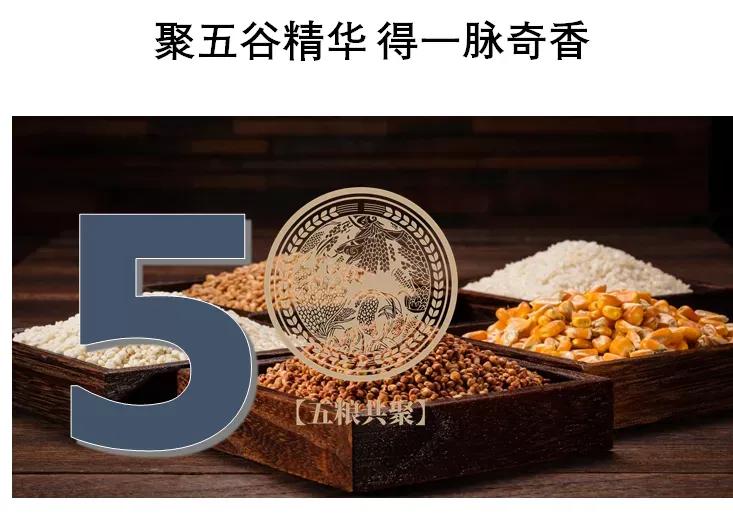 数读皇沟馥合香数字密码1354T