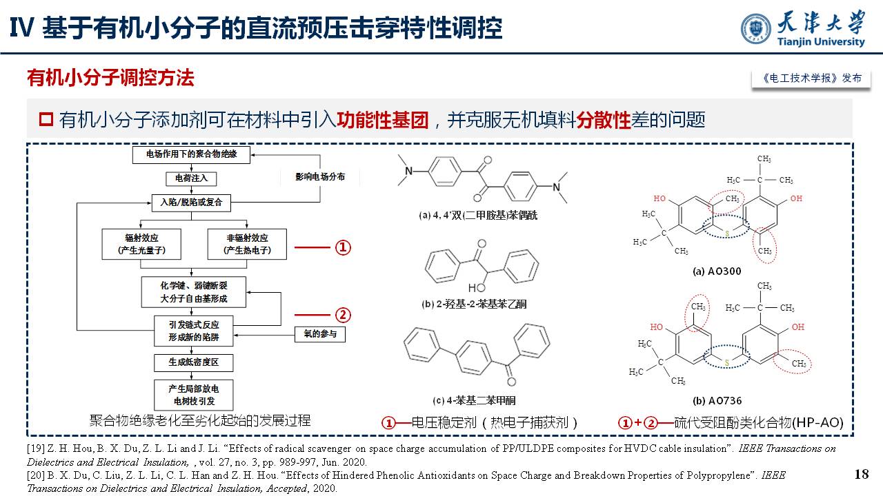 天津大学李忠磊副教授：高压直流电缆绝缘直流预压击穿特性及调控