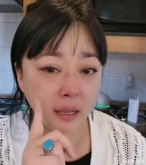 李菁菁：3段婚姻1個(gè)孩子，49歲嫁小21歲丈夫，因詐騙跌落神壇