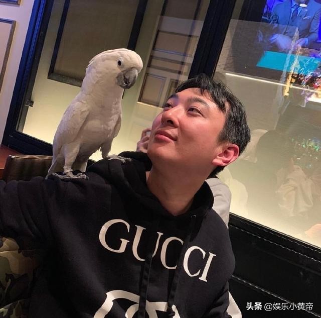 王思聪不愧是“娱乐圈检纪委”，怒“怼”冯小