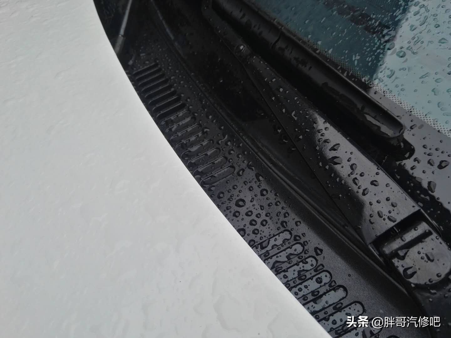 图片[14]_集雨板10元翻新 喷完和新车一样 效果大家说了算_5a汽车网